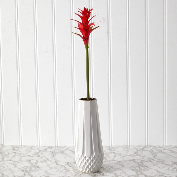 23 Star Bromeliad - SKU #2361 - 2